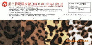 皮塑双驱，外贸新程——探索斯雨皮塑业务部的核心优势与前行之路