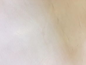 一块革命性皮料的诞生 皮塑的完美伴侣